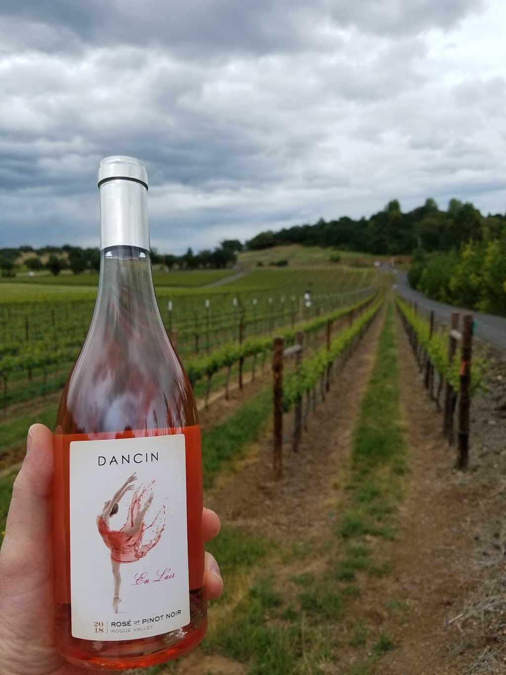 DANCIN Vineyards | restaurant | 4477 S Stage Rd, Medford, OR 97501, USA | 5412451133 OR +1 541-245-1133