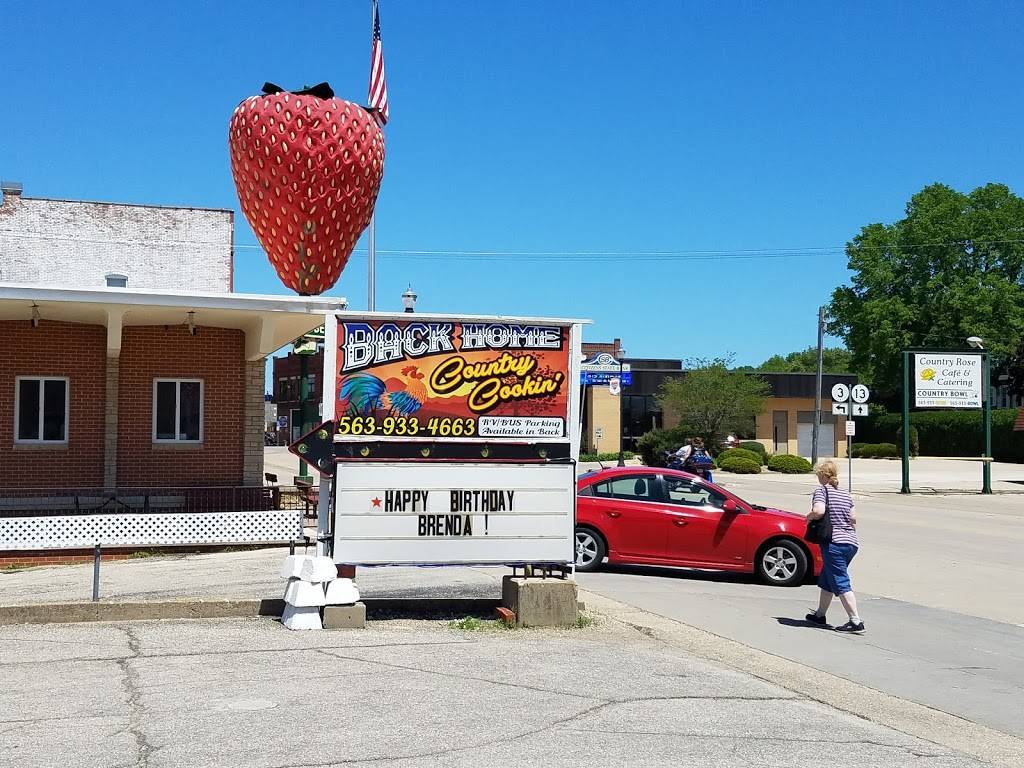 Back Home Country Cooking | restaurant | 119 Commercial Ave, Strawberry Point, IA 52076, USA | 5639334663 OR +1 563-933-4663
