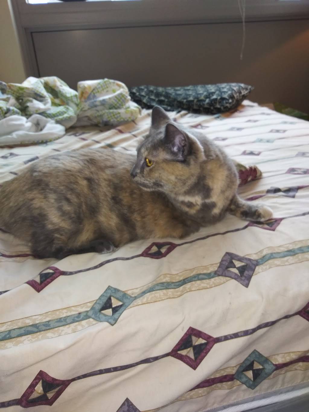 Jimmy Johns | meal delivery | 1729 Sherman Ave, Evanston, IL 60201, USA | 8473288858 OR +1 847-328-8858