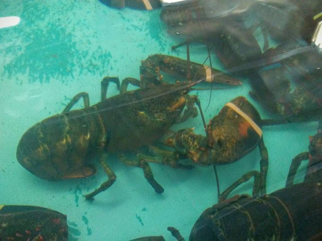 Wells Beach Lobster Pound | restaurant | 321 Webhannet Dr, Wells, ME 04090, USA | 2076467703 OR +1 207-646-7703