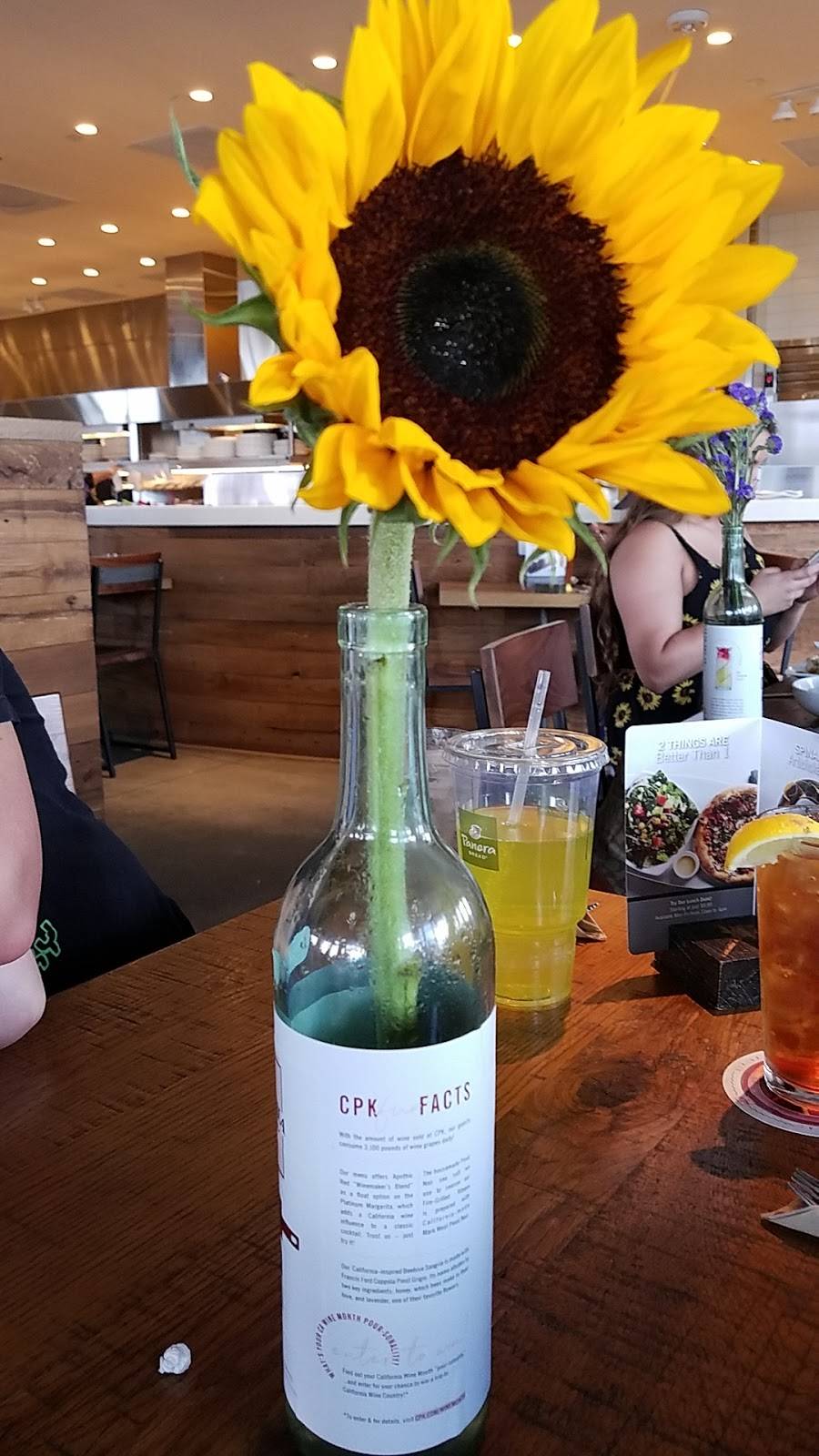 California Pizza Kitchen at Sarasota | restaurant | 192 N Cattlemen Rd #1, Sarasota, FL 34243, USA | 9412036966 OR +1 941-203-6966