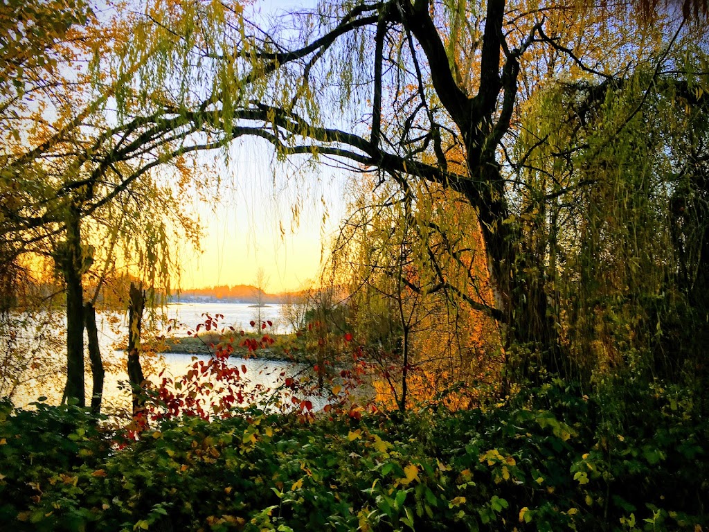 River Forum Café | cafe | 4380 S Macadam Ave # 168, Portland, OR 97239, USA | 5034780994 OR +1 503-478-0994