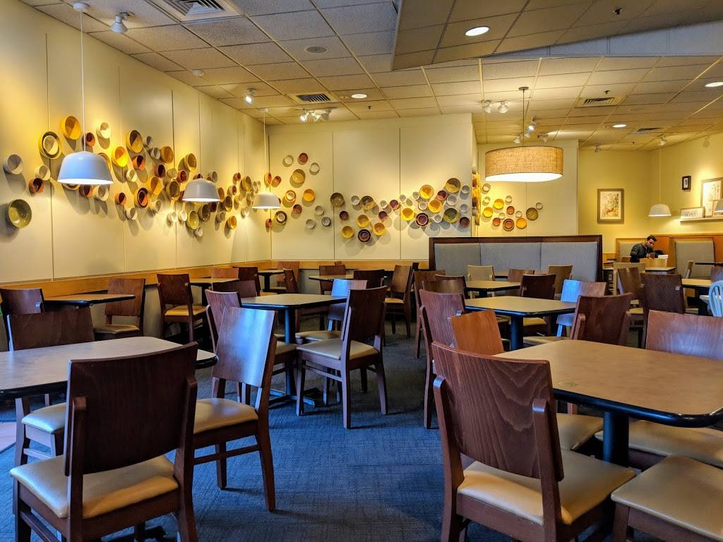 Panera Bread | cafe | 7909 S Harlem Ave, Burbank, IL 60459, USA | 7084302255 OR +1 708-430-2255