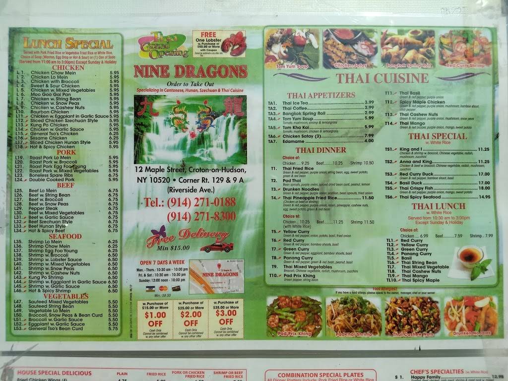 Nine Dragons | restaurant | 12 Maple St, Croton-On-Hudson, NY 10520, USA | 9142718300 OR +1 914-271-8300