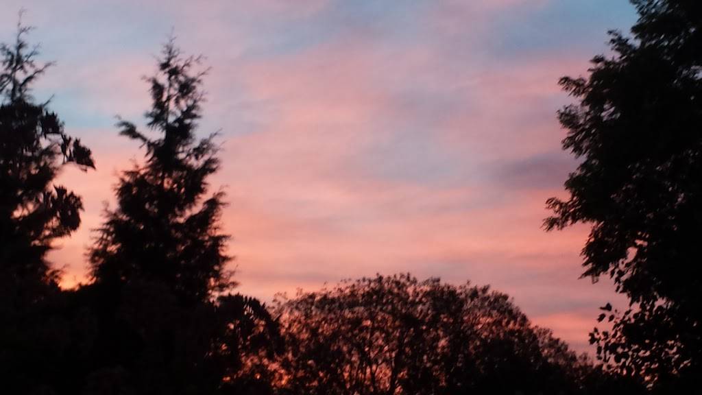 Bistro By the Sea | restaurant | 364 Cards Pond Rd, Wakefield, RI 02879, USA | 4017893030 OR +1 401-789-3030