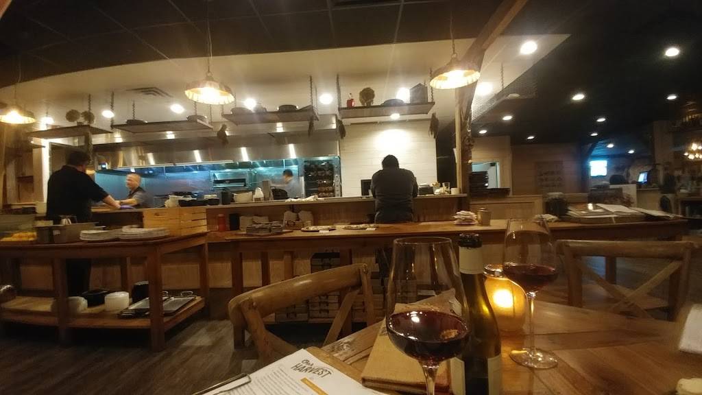 Our Harvest | restaurant | 1106 Coastal Hwy, Fenwick Island, DE 19944, USA | 3025810377 OR +1 302-581-0377