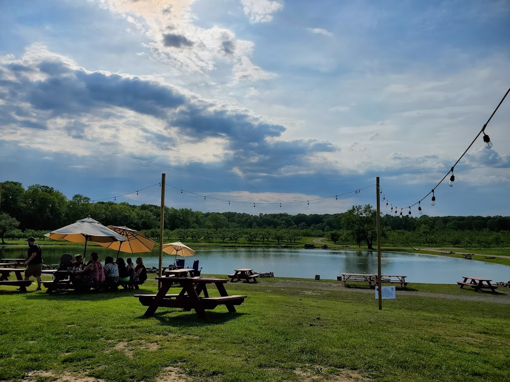 Brooklyn Cider House | restaurant | 155 N Ohioville Rd #3402, New Paltz, NY 12561, USA | 8456338657 OR +1 845-633-8657