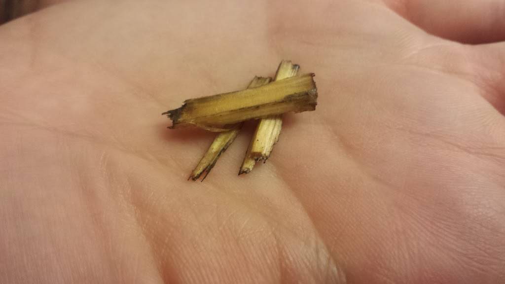 Little Caesars Pizza | meal takeaway | 20152 Outer Hwy 18 N, Apple Valley, CA 92307, USA | 7609462011 OR +1 760-946-2011