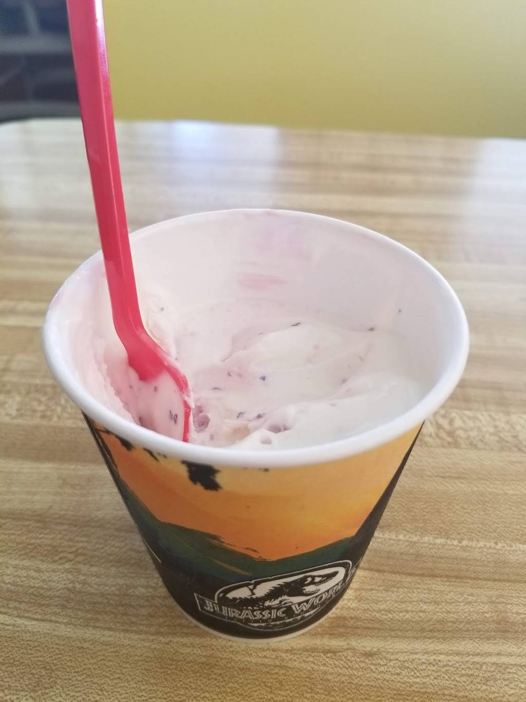 Dairy Queen | restaurant | 3387 Oregon Coast Hwy N, Gearhart, OR 97138, USA | 5037387711 OR +1 503-738-7711