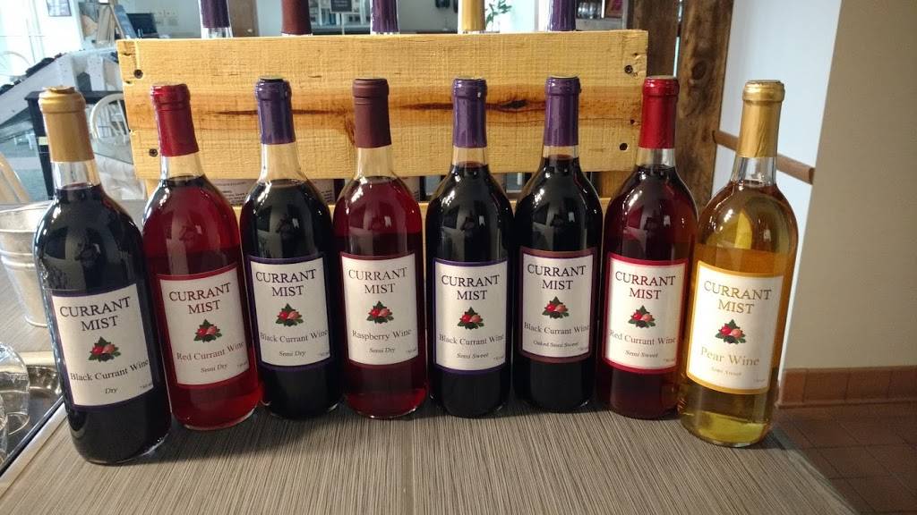Currant Mist Winery and Tasting Room | restaurant | 5480 W Isabella Rd, Shepherd, MI 48883, USA | 9893173233 OR +1 989-317-3233