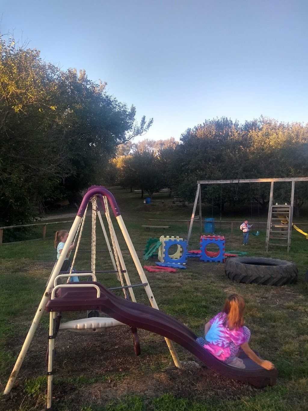 Pioneer Trail Orchard, Grill & Bar | restaurant | 21534 Chestnut Rd, Council Bluffs, IA 51503, USA | 7123661505 OR +1 712-366-1505