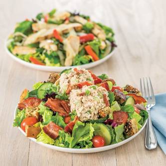 DiBellas Subs | restaurant | 904 W Eisenhower Pkwy, Ann Arbor, MI 48103, USA | 7349979011 OR +1 734-997-9011