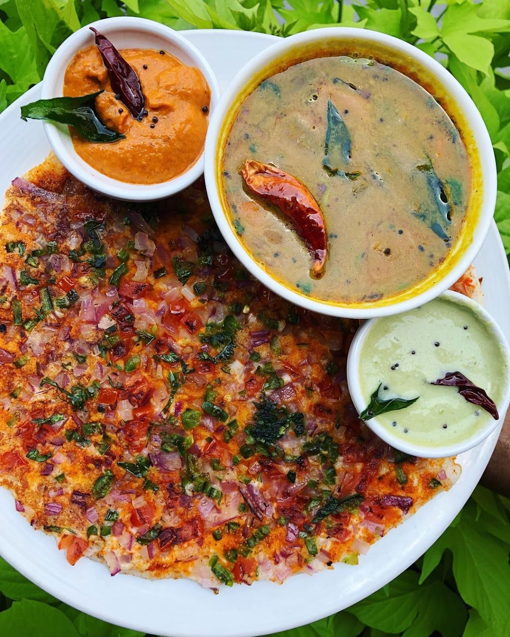 India House Restaurant - Chicago | restaurant | 59 W Grand Ave, Chicago, IL 60654, USA | 3126459500 OR +1 312-645-9500