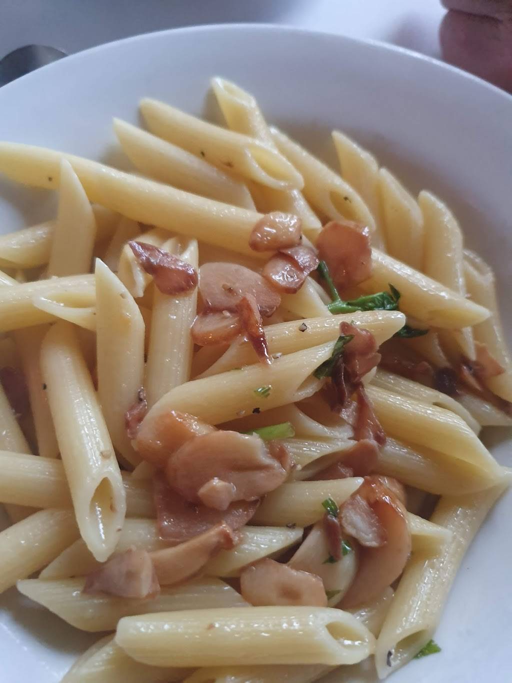 Josephines Italian Restaurant | restaurant | 5751 N Federal Hwy, Boca Raton, FL 33487, USA | 5619880668 OR +1 561-988-0668