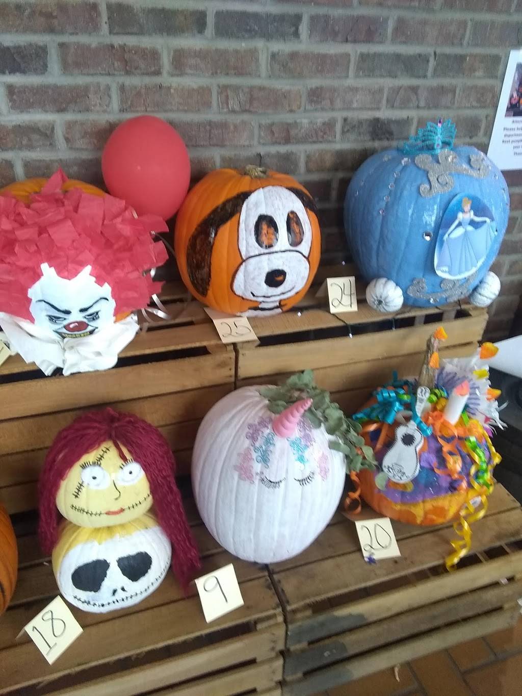 King Ferry Pizzeria | restaurant | 1007 Main, King Ferry, NY 13081, USA | 3153648084 OR +1 315-364-8084