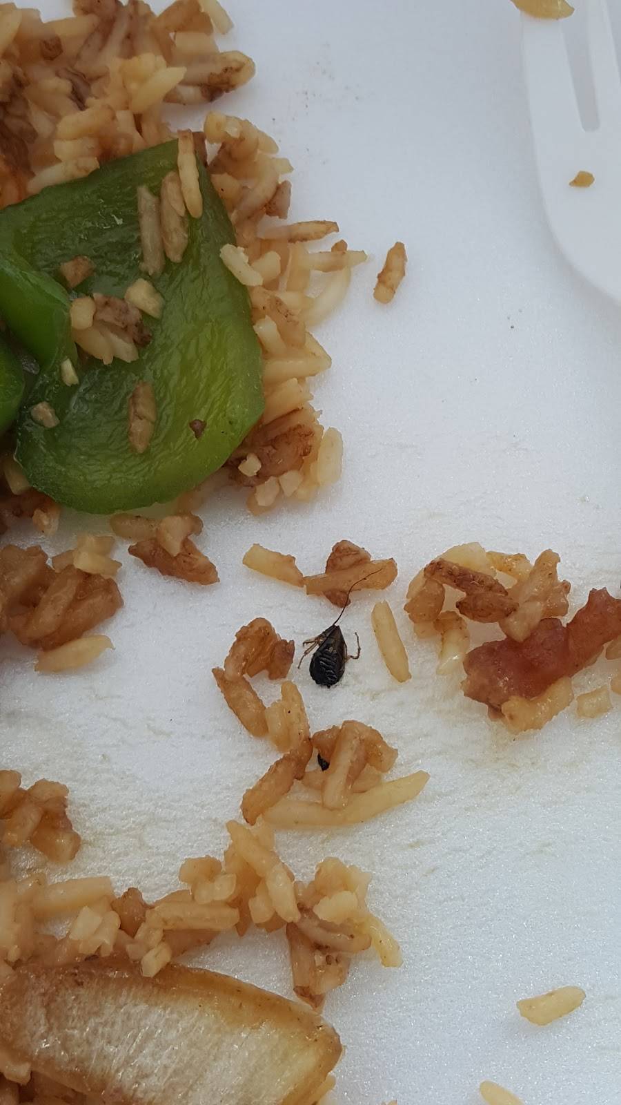 Wok DLite Chinese Cafe | cafe | 1033 Edgebrook Dr, Houston, TX 77034, USA | 7139430218 OR +1 713-943-0218