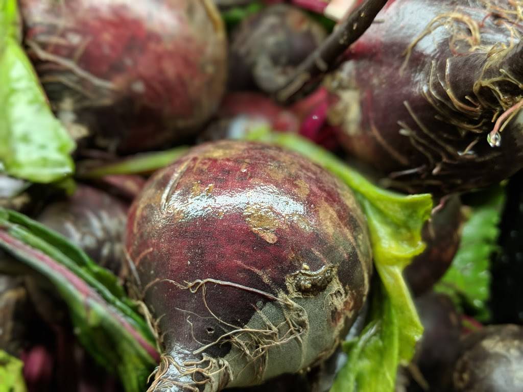 Cardenas Markets | bakery | 727 1st St, Gilroy, CA 95020, USA | 4084930113 OR +1 408-493-0113