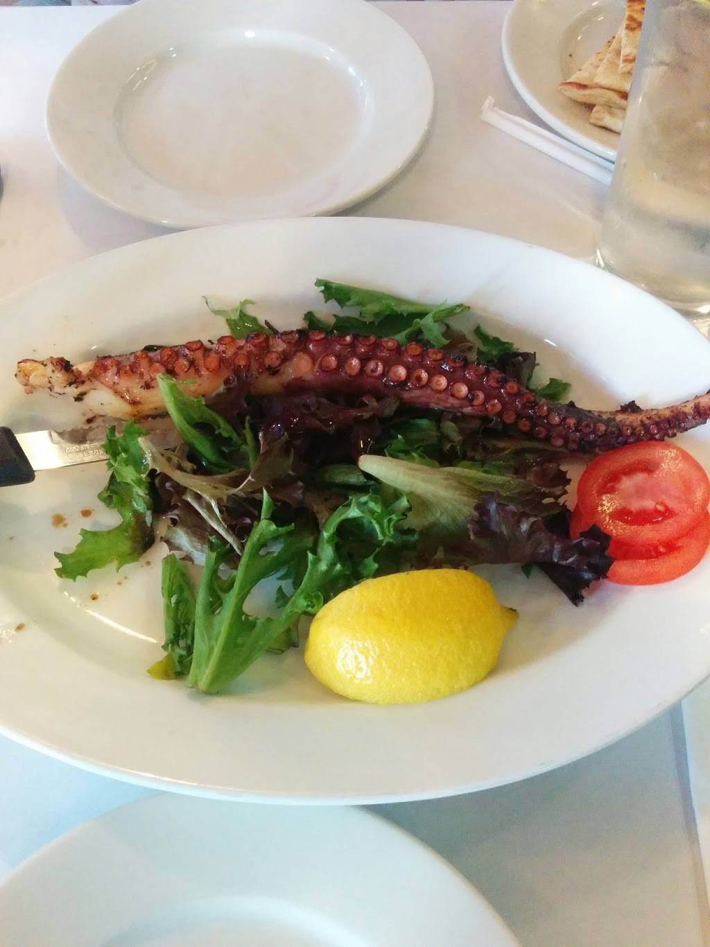 Aegean Grill | restaurant | 354 Larkfield Rd, East Northport, NY 11731, USA | 6312663300 OR +1 631-266-3300