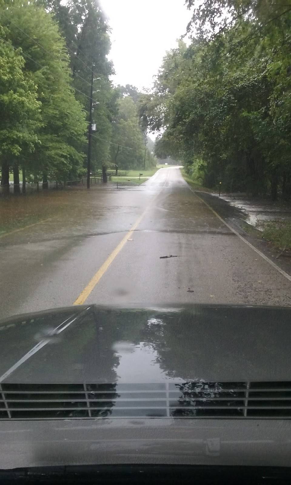 Piney Woods Mart | restaurant | 11845 Calvary Rd, Willis, TX 77318, USA | 9367014090 OR +1 936-701-4090