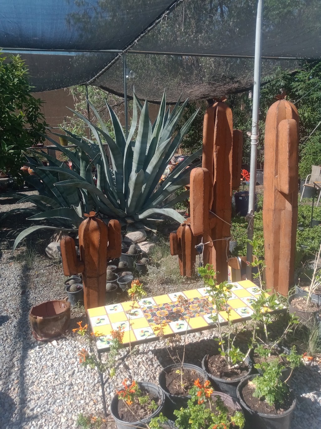 Sunset Nursery & Teds Mercantile | restaurant | 5939 N Oracle Rd, Tucson, AZ 85704, USA | 5208886410 OR +1 520-888-6410