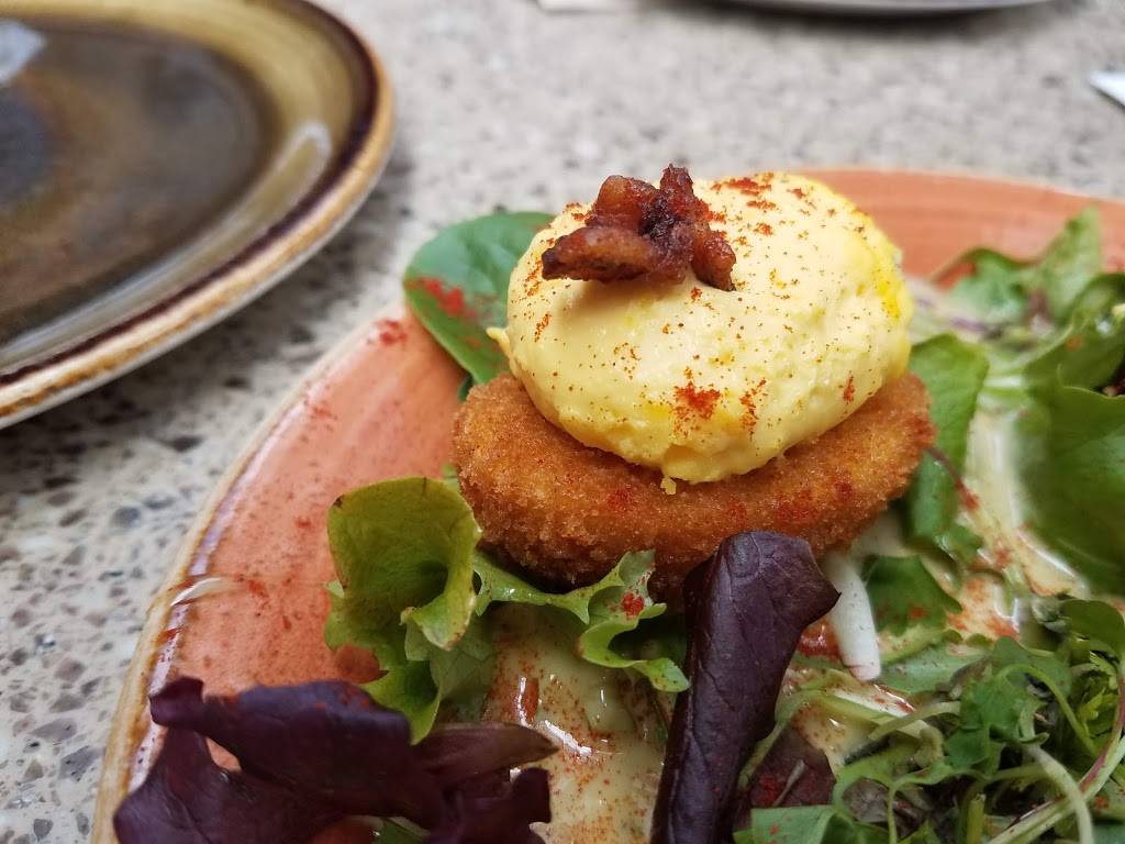 Lazy Dog Restaurant & Bar | restaurant | 40754 Winchester Rd, Temecula, CA 92591, USA | 9517191884 OR +1 951-719-1884