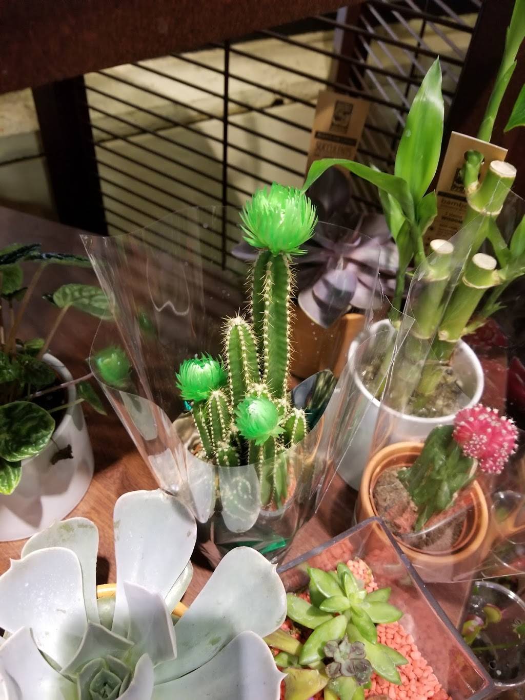 Carrows Restaurants | restaurant | 2401 E Harbor Blvd, Ventura, CA 93001, USA | 8056423780 OR +1 805-642-3780