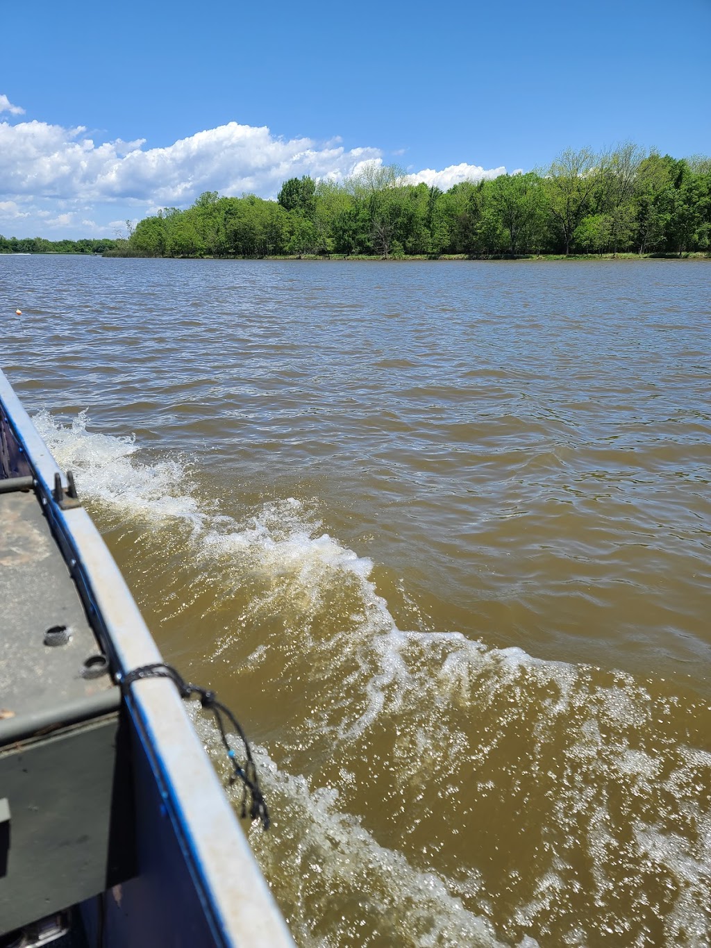 KFC | restaurant | 720 N Arkansas Ave, Russellville, AR 72801, USA | 4793700044 OR +1 479-370-0044