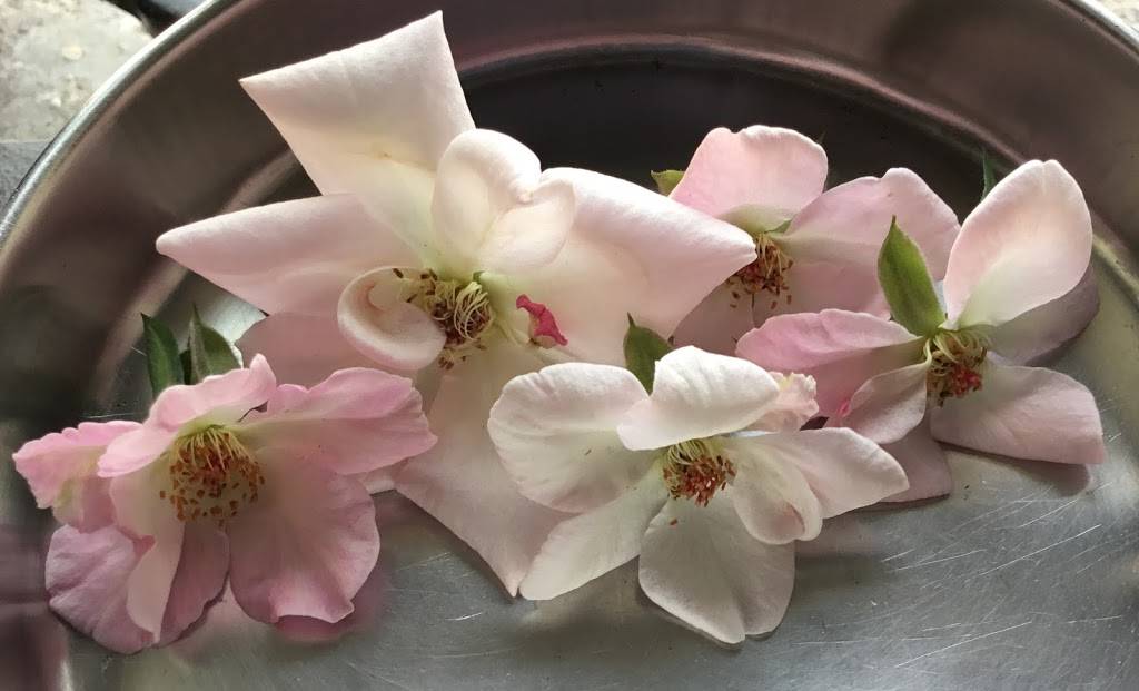 Bird in the Hand | restaurant | 1845 Palm Beach Lakes Blvd, West Palm Beach, FL 33401, USA | 5614713831 OR +1 561-471-3831