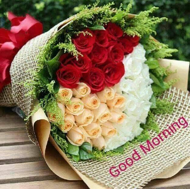 Unos Pnches Tacos | restaurant | 1402 Northwood St, Houston, TX 77009, USA | 7135051218 OR +1 713-505-1218