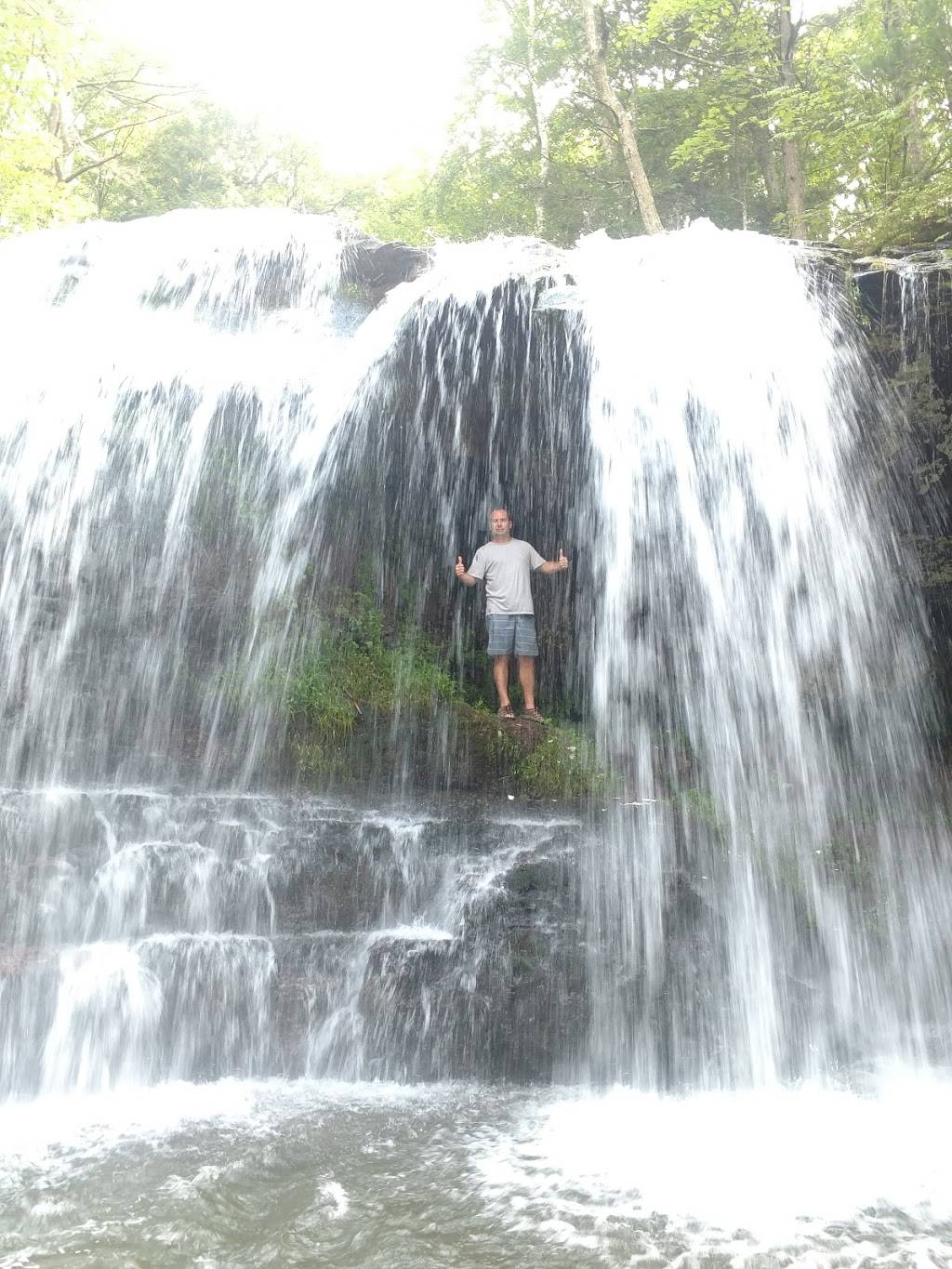 Nussys | restaurant | 57 Ravine Dr, Round Top, NY 12473, USA | 5186229584 OR +1 518-622-9584