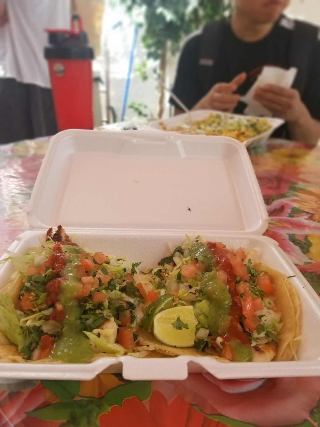 Orale Taqueria | restaurant | 342 Cranston St, Providence, RI 02907, USA | 4015168458 OR +1 401-516-8458