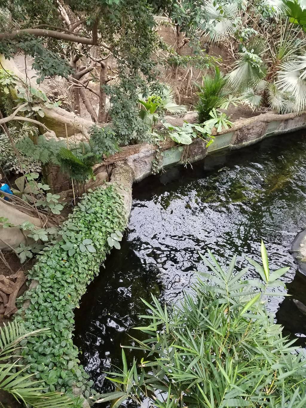 Durham TreeTops Restaurant | restaurant | 3701 S 10th St, Omaha, NE 68107, USA | 4027338401 OR +1 402-733-8401