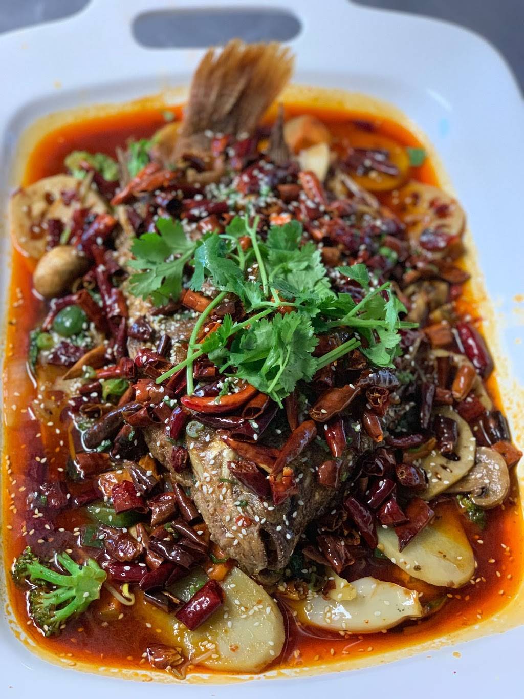 Drop the Anchor | restaurant | 975 Pine Ridge Rd, Naples, FL 34108, USA | 2394316368 OR +1 239-431-6368