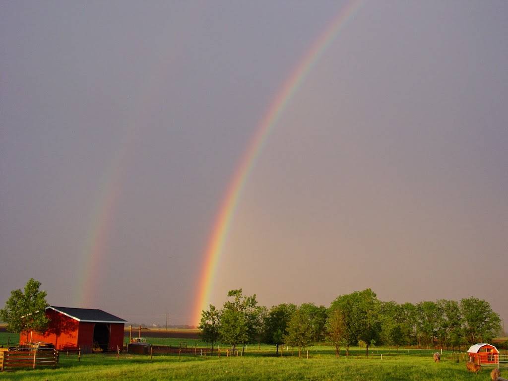 BP Farms, LLC | restaurant | 6300 N Rea Rd, Dundee, MI 48131, USA | 7344304261 OR +1 734-430-4261