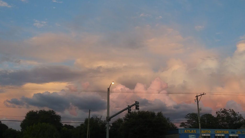 Smoke Bodega Smoke Shop, CBD Dispensary kratom Tea Kava Bar | cafe | 6911 Sheldon Rd, Tampa, FL 33615, USA | 8132490420 OR +1 813-249-0420