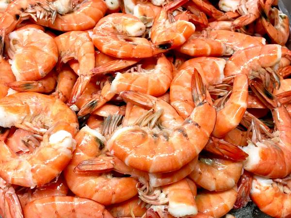 City Island Seafood Shack | restaurant | 2049 Williamsbridge Rd, The Bronx, NY 10462, USA | 9293713252 OR +1 929-371-3252