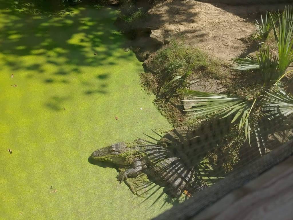 THE BACK PORCH (A CHEF RONS PLACE) | restaurant | 1924 1st Ave N, Bessemer, AL 35020, USA | 2057608035 OR +1 205-760-8035