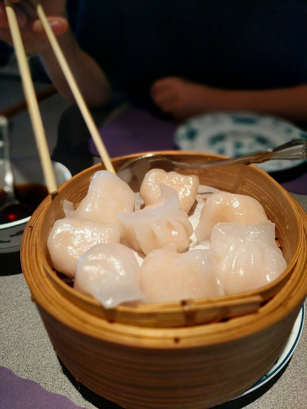 Hunan By the Falls | restaurant | 508 Washington St, Chagrin Falls, OH 44022, USA | 4402470808 OR +1 440-247-0808