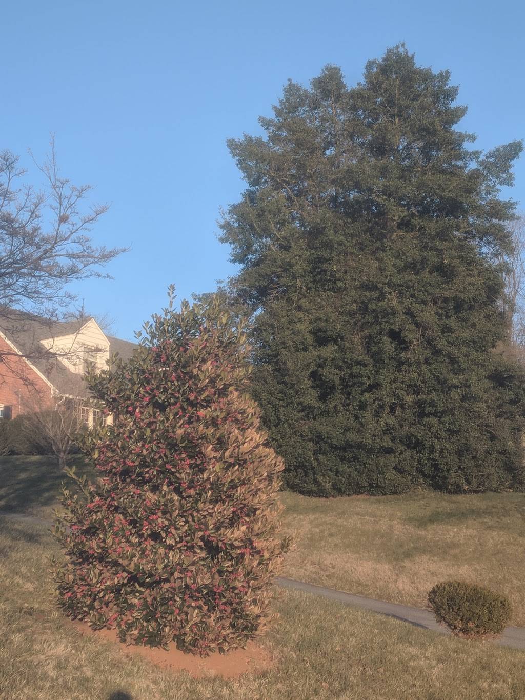 Rivers West Bar BQ Llc | restaurant | 210 S Shenandoah Ave, Front Royal, VA 22630, USA | 5714369263 OR +1 571-436-9263