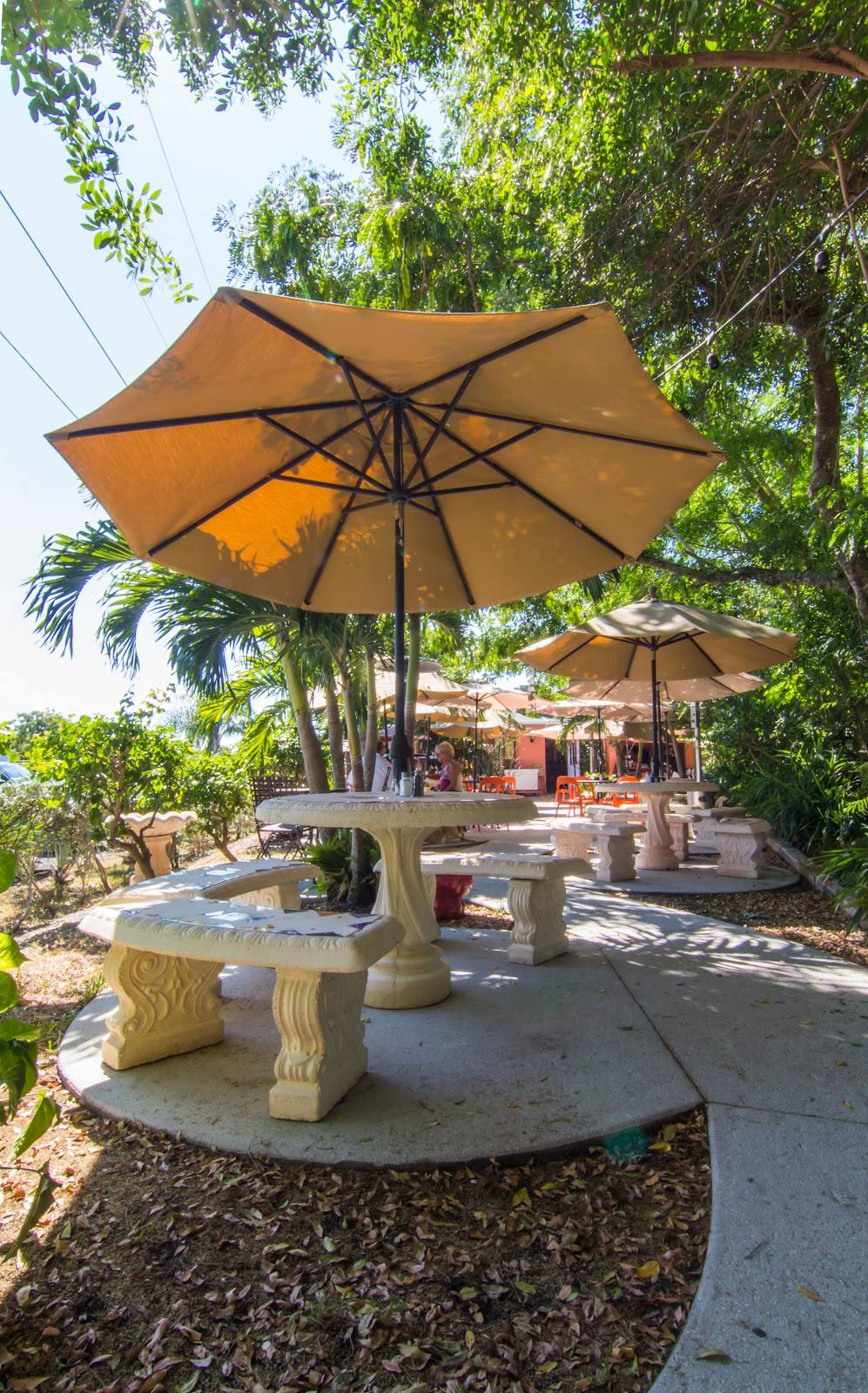 Havana Café of the Everglades | restaurant | 191 Smallwood Dr, Chokoloskee, FL 34138, USA | 2396952214 OR +1 239-695-2214