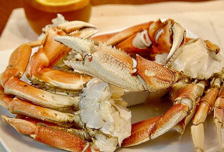 Leos Crab Shack | restaurant | 2501 N Dixie Hwy, West Palm Beach, FL 33407, USA | 5614293755 OR +1 561-429-3755