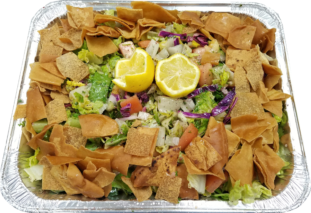 Habibi Shawarma Grille | restaurant | 30875 Woodward Ave, Royal Oak, MI 48073, USA | 2482067175 OR +1 248-206-7175