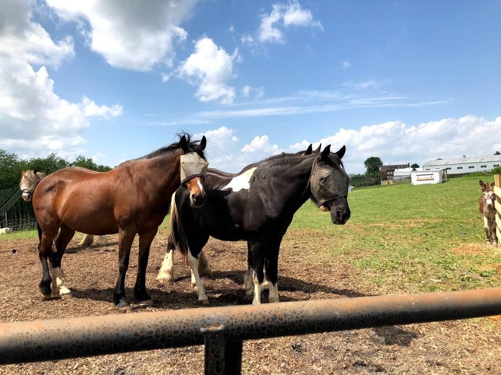 Stable Craft Brewing | restaurant | 375 Madrid Rd, Waynesboro, VA 22980, USA | 5404902609 OR +1 540-490-2609