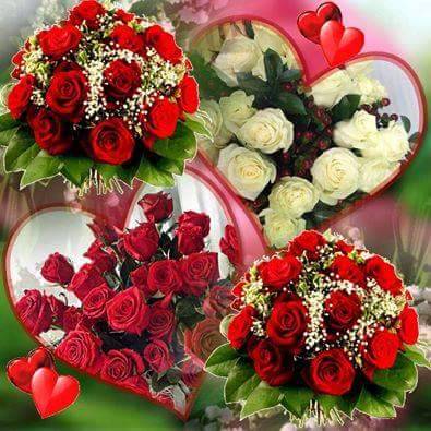 La Estrella | restaurant | 2104 Grand Concourse, The Bronx, NY 10457, USA | 7189332815 OR +1 718-933-2815