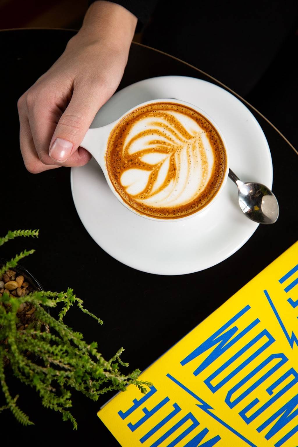 Lost City | cafe | 3459 Ringsby Ct, Denver, CO 80216, USA | 7205513635 OR +1 720-551-3635