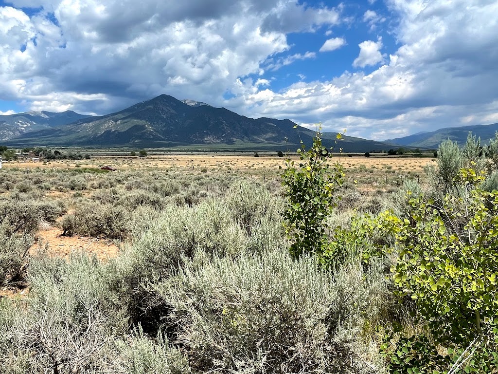 Pizanos | restaurant | 23 NM-150, Taos, NM 87571, USA | 5757761050 OR +1 575-776-1050