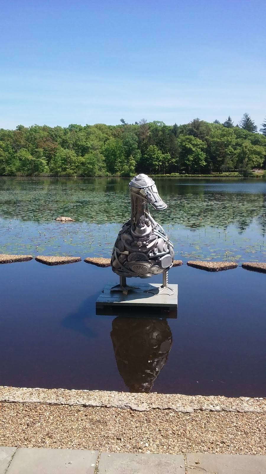 Starbucks | cafe | 183 Grove St, Chestnut Hill, MA 02467, USA | 6173256261 OR +1 617-325-6261