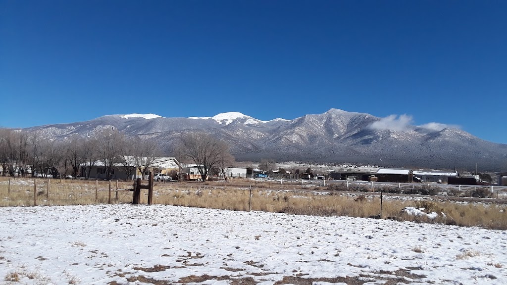 My Tias Café | restaurant | 107 NM-378, Cerro, NM 87519, USA | 5755862203 OR +1 575-586-2203