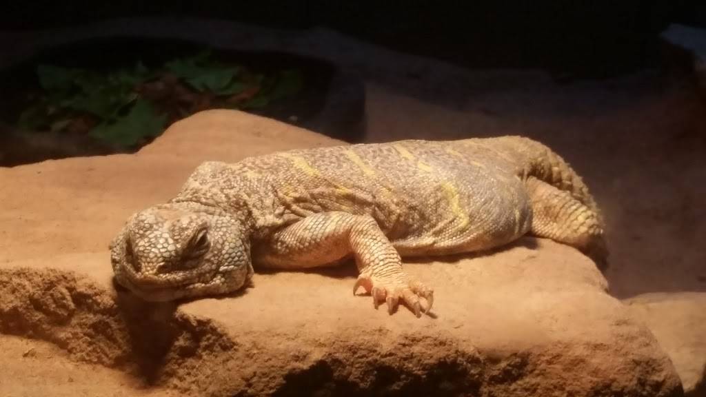 Applebees Grill + Bar | restaurant | 12103 Collegiate Way, Orlando, FL 32817, USA | 4072822055 OR +1 407-282-2055