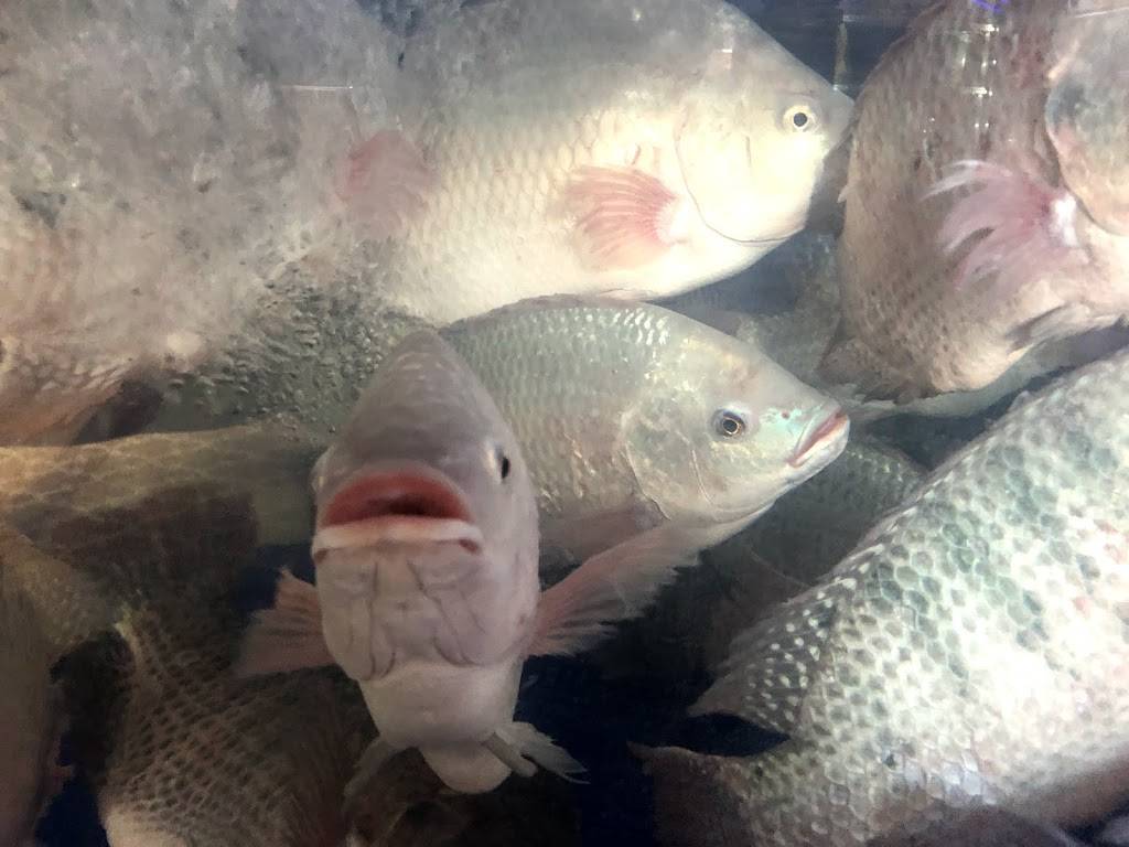 Princeton Seafood Boil | restaurant | 238 Nassau St, Princeton, NJ 08542, United States | 6099212388 OR +1 609-921-2388